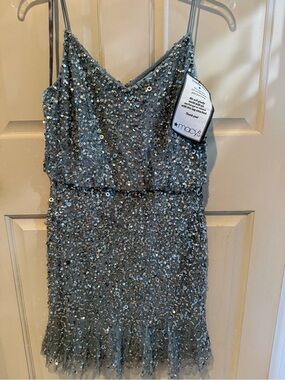 Adrianna Papell Silver Sequin Evening Dress (Light Gray Lining)